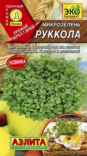 Руккола