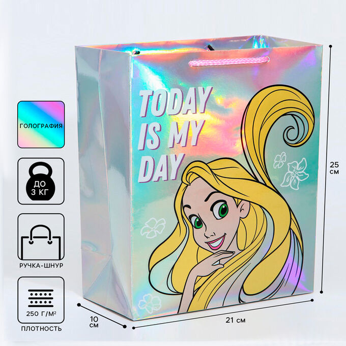 Disney Пакет подарочный голография горизонтальный Today is my day, Принцессы, 25 х 21 х 10 см