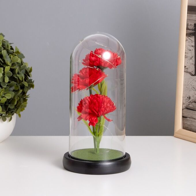 Фигурка светящаяся колба RISALUX «Гвоздики», LED-ночник, красный, 3xААА, 10.5x10.5x22 см