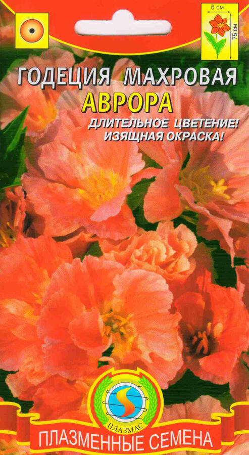 Цветы Годеция Аврора ЦВ/П (ПЛАЗМА) 75см лососёво-оранж