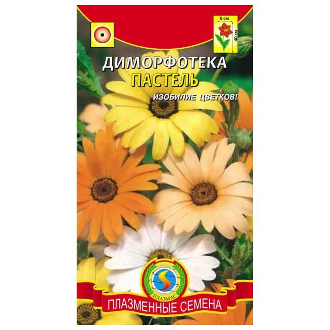 Диморфотека семена как выглядят Цветы Диморфотека Пастель ЦВ/П (ПЛАЗМА) 40см Цветы ПЛАЗМА. Семена
