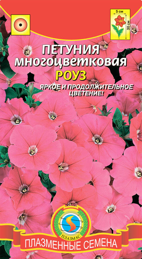 Петуния цветы фото семена