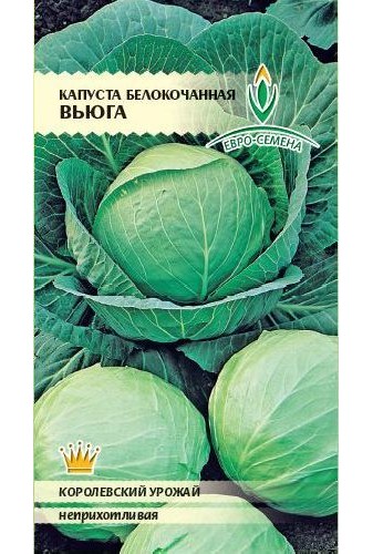 Капуста б/к Вьюга ЦВ/П (ПЛАЗМА) среднепоздний