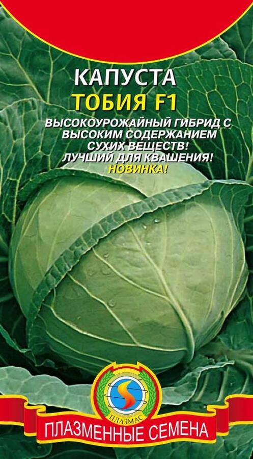 Капуста тобия описание сорта фото отзывы