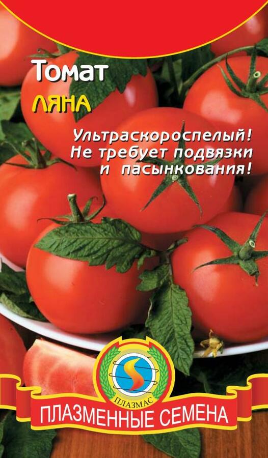 Томаты сорт ляна отзывы фото