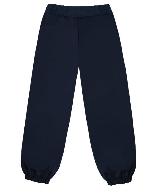 Синие утепленные брюки для мальчика Цвет: синий