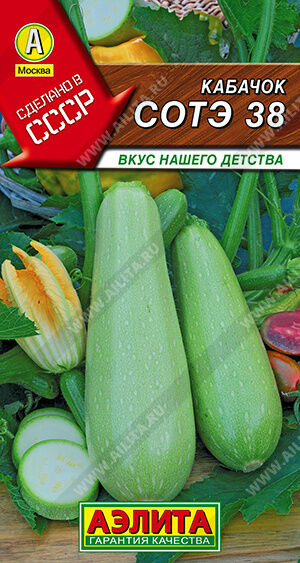 Агрофирма АЭЛИТА Кабачок белоплодный Сотэ 38