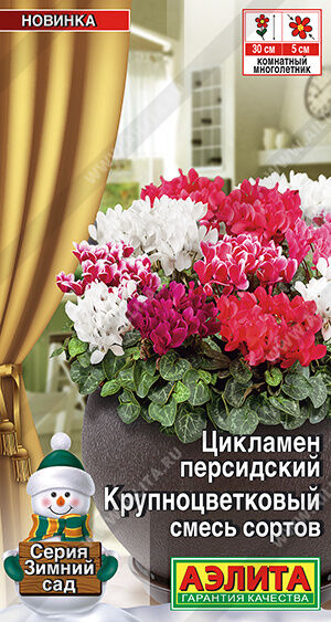 Агрофирма АЭЛИТА Цикламен Крупноцветковый, смесь сортов