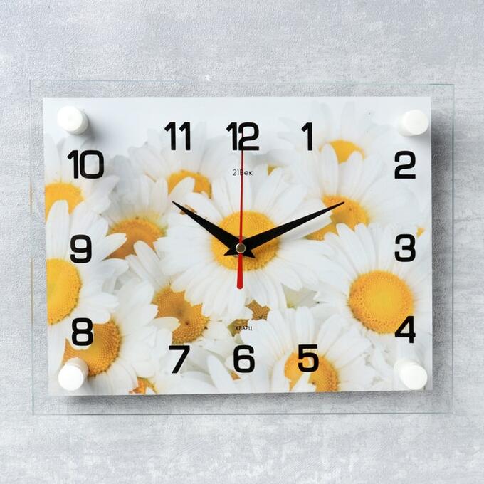 Часы настенные, серия: Цветы, &quot;Ромашки&quot;, 20х26 см  в ассортименте