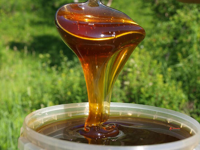 Мёд натуральный «Гречишный с серпухой» ПЭТ банка  1400 г 2018г.