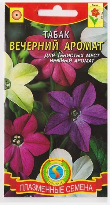 Плазменные семена Табак Вечерний Аромат (Код: 76929)