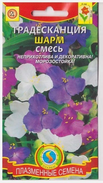 Плазменные семена Традесканция Шарм смесь (Код: 76113)