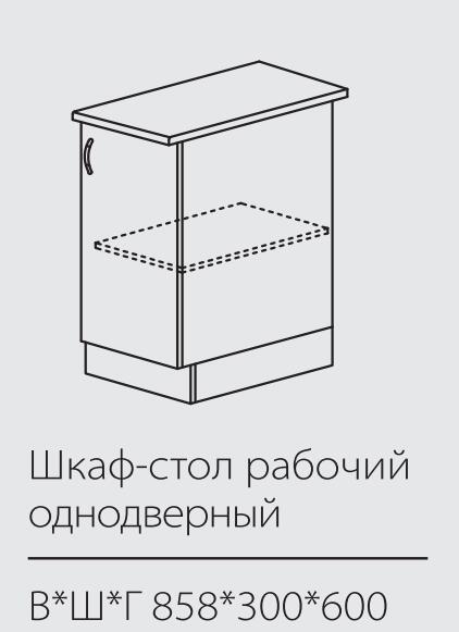 ШСК рабочий однодверный 820*300*600 мм