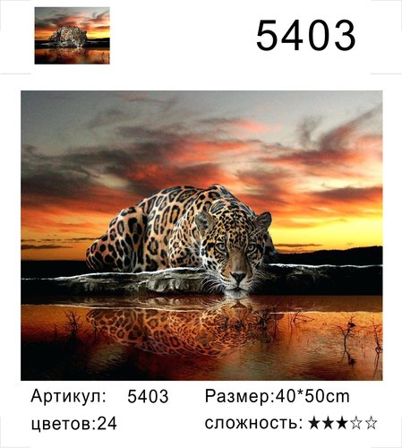 РД 5403 &quot;Леопард лакает воду на закате&quot;, 40х50 см