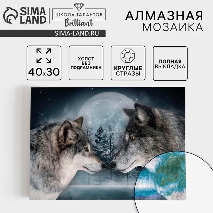 Школа талантов Алмазная мозаика с полным заполнением на холсте «Волки», 30 х 40 см