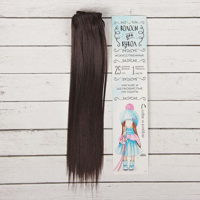 Школа талантов Волосы - тресс для кукол «Прямые» длина волос: 25 см, ширина: 100 см, цвет № 2