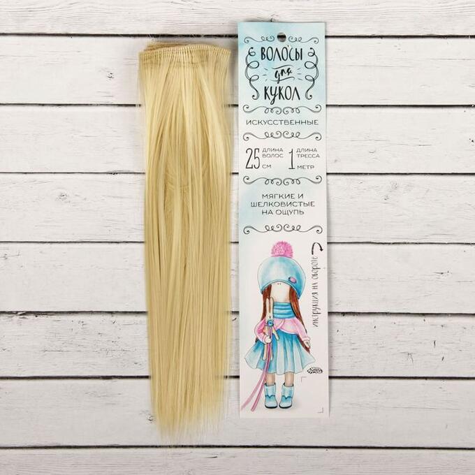 Школа талантов Волосы - тресс для кукол «Прямые» длина волос: 25 см, ширина: 100 см, цвет № 613