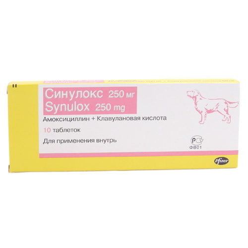 Купить синулокс для собак 500. Синулокс 250 мг. Синулокс, 250 мг * 10 таб. (65 Упак/кор). Синулокс 250мг для собак и кошек. Синулокс для кошек 250мг.