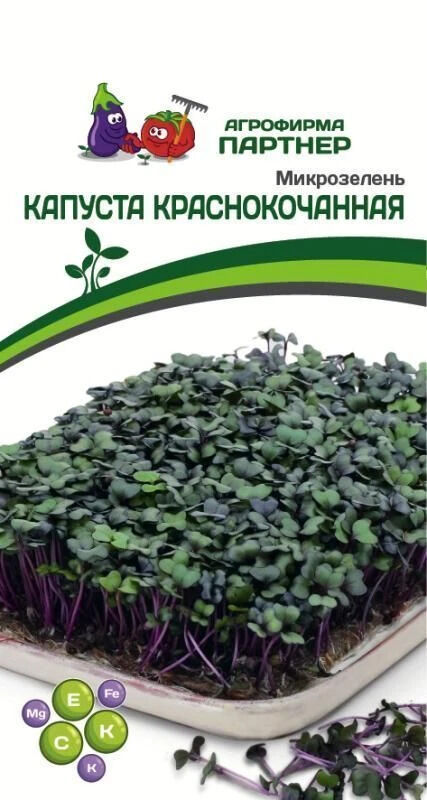 Агрофирма Партнёр Микрозелень Капуста Краснокочанная