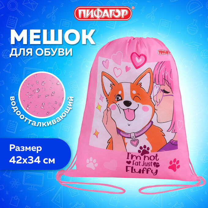 Мешок для обуви ПИФАГОР, 1 отделение, 42х34 см, Fluffy akita, 272385
