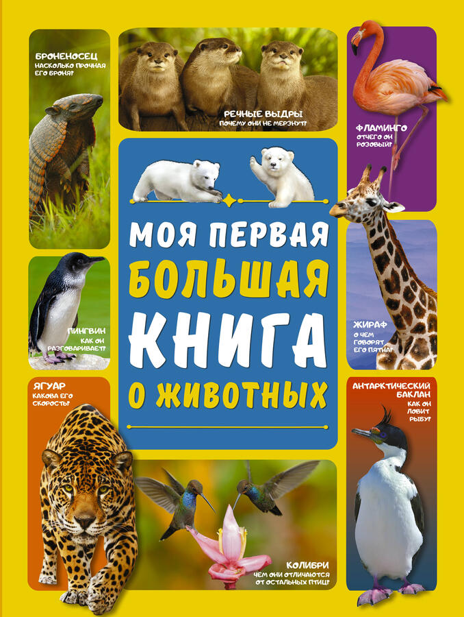Издательство АСТ Вайткене Л.Д., Ермакович Д.И. Моя первая большая книга о животных