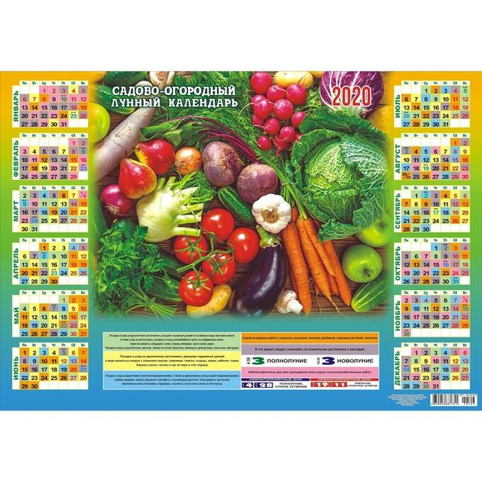 Огородный календарь для детей. Упаковка как будто садовый календарь. Календарь огородника апрель 2020 года
