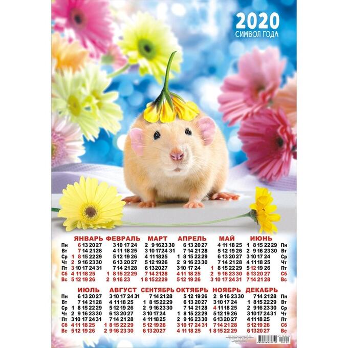Какой год по календарю 2020 животное