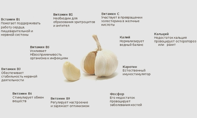 Что находится внутри чеснока Чеснокодавилка Товары для кухни. Аксессуары для кухни