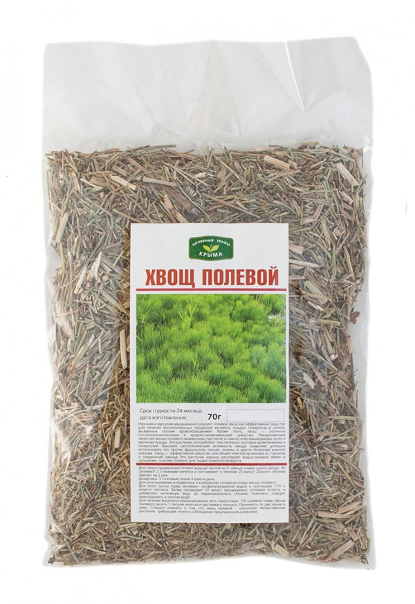 Хвощ полевой - полезные и лечебные свойства, противопоказания и вред