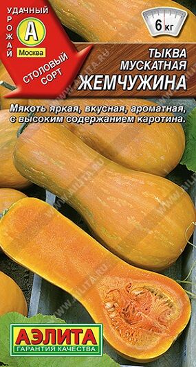 Поиск Тыква Мускатная Жемчужина (Код: 92242)