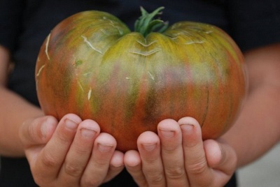 Коллекция семян томатов &quot;САМЫЕ КРУПНЫЕ&quot;