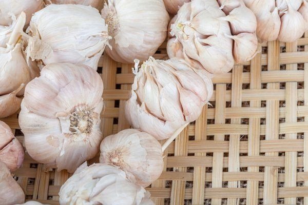 Как выглядит яровой чеснок для посадки фото