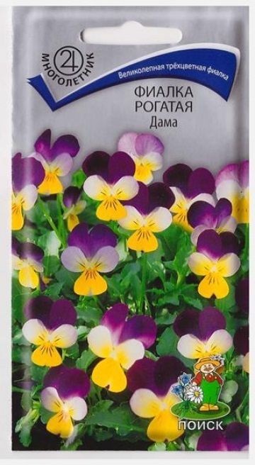 Поиск Фиалка Дама рогатая (Код: 72463)