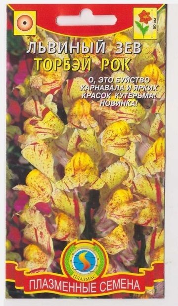 Плазменные семена Львиный зев Торбей рок (Код: 75993)