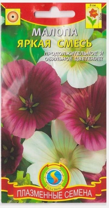 Плазменные семена Малопа Яркая смесь (Код: 76007)