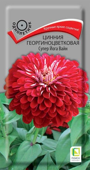 Поиск Цинния Супер йога вайн (Код: 86270)