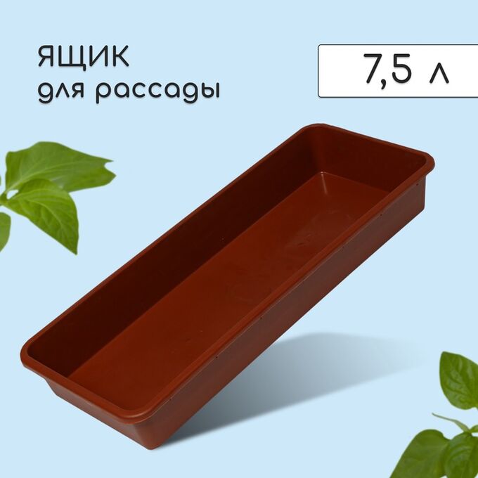 Ящик для рассады, 53 x 21.5 x 7.2 см, 7.5 л, пластик, МИКС
