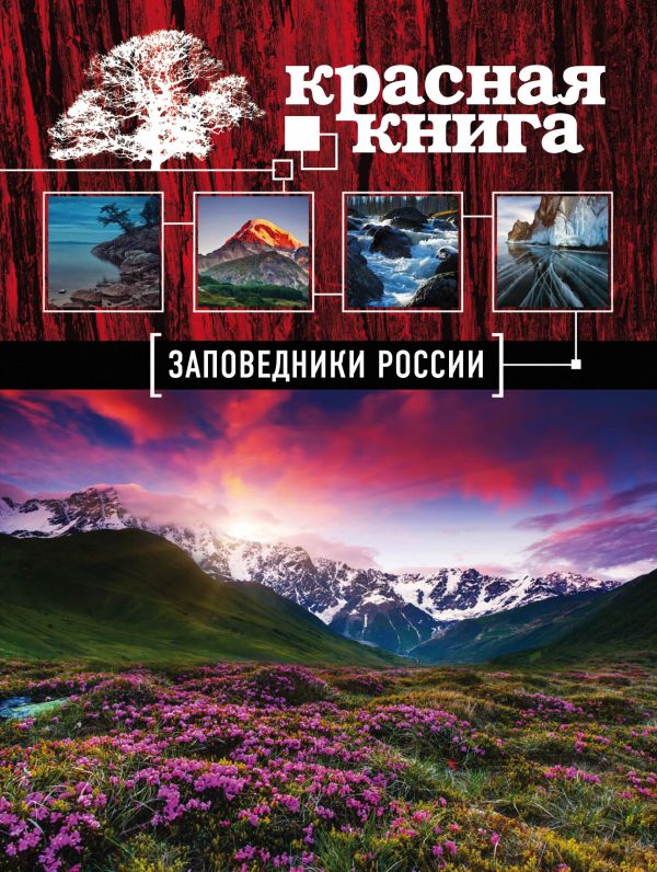 Скалдина О.В. Заповедники России. Красная Книга (Почта России) |  ЕСТЕСТВЕННЫЕ. Художественная литература