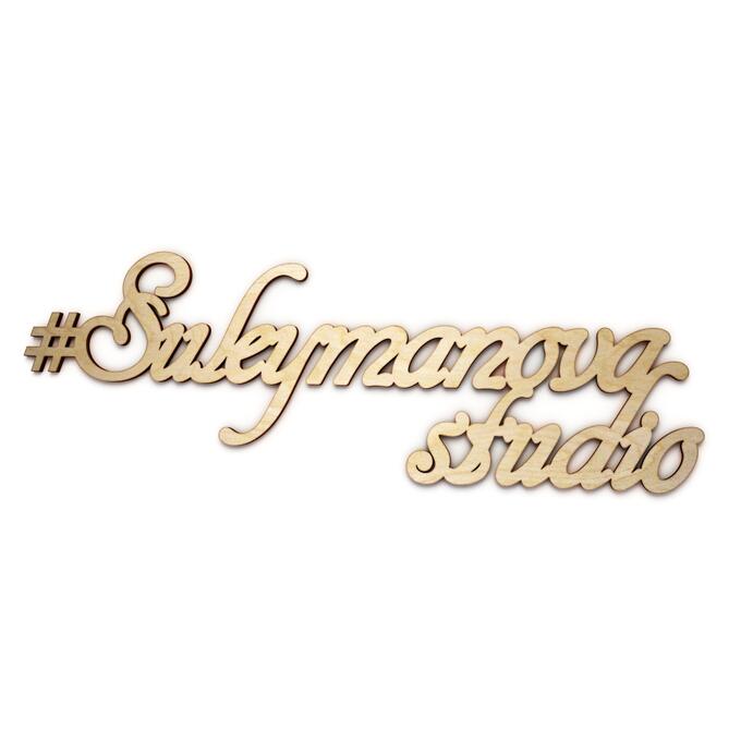 Dolodom Suleymanova Studio логотип
