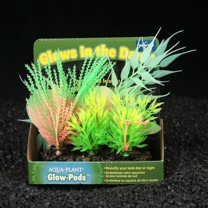 Люминесцентные растения для аквариума. Какие растения светятся. Растение светящаяся трава в Генше. Какая трава светится в темноте. Купить траву светяшку