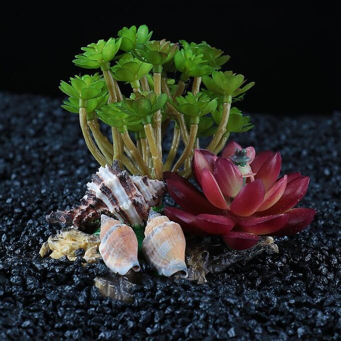 СИМА-ЛЕНД Островок с ракушками и растениями искусственными для аквариума, 12 х 11 х 9,5 см