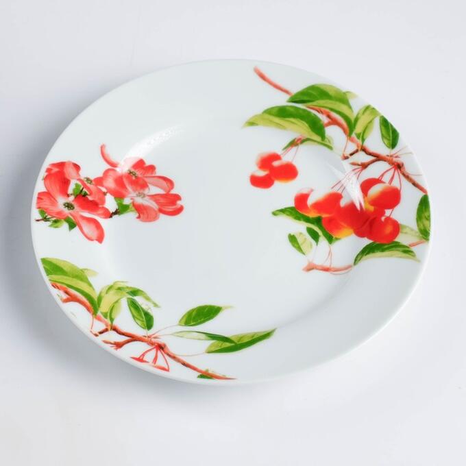 Красивая посуда для кухни. Набор столовой посуды 16 предметов. Посуда valencia. Набор столовой посуды 16 предметов. Набор столовой посуды 16 предметов.