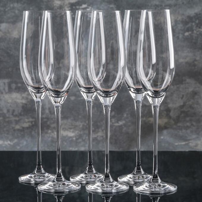 Набор бокалов для шампанского Celebration, 210 мл, 6 шт