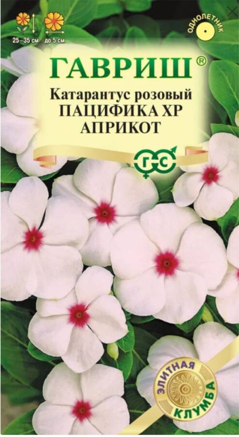 Цветы Катарантус Розовый (Барвинок) Пацифика Априкот ЦВ/П (ГАВРИШ) 5шт однолетник 25-35см