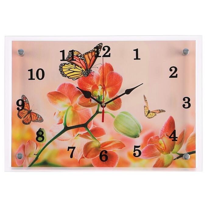 Часы настенные, серия: Цветы, &quot;Орхидеи и бабочки&quot;, 25х35  см, в ассортименте