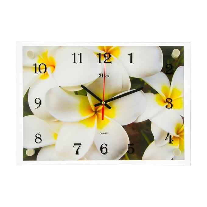 Часы настенные, серия: Цветы, &quot;Белые цветы&quot;, 25х35  см, в ассортименте