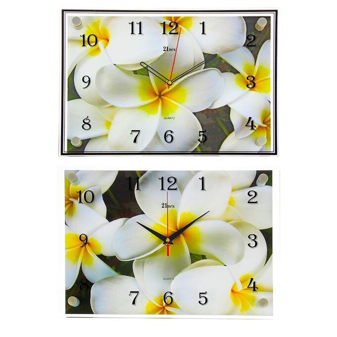Часы настенные, серия: Цветы, &quot;Белые цветы&quot;, 25х35  см, в ассортименте