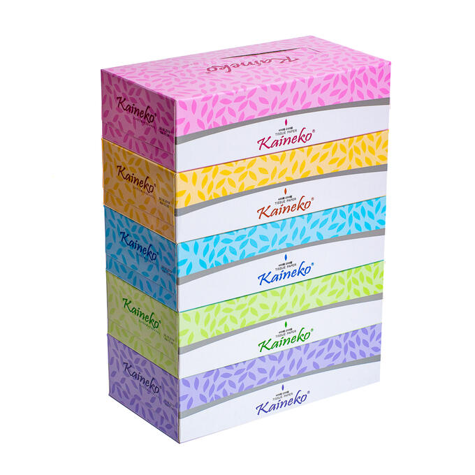 Kaineko САЛФЕТКИ БУМАЖНЫЕ КАЙНЕКО классик 2-х сл., 200шт.(листики)5*200