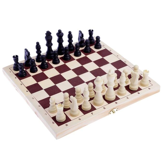 СИМА-ЛЕНД Настольная игра 2 в 1 &quot;Леви&quot;: шашки d=2.6 см, шахматы, король h=7.5 см, пешка h=3.5 см, 30 х 30 см 4