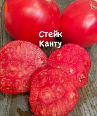 Оазис Садовода СТЕЙК КАНТУ.